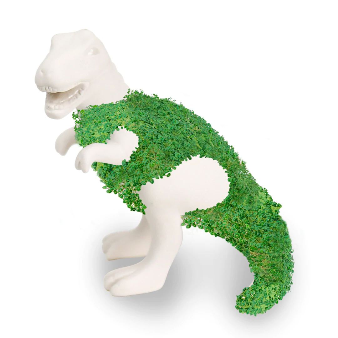 Dinosaure chia