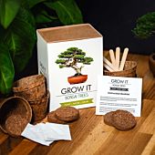 Kit Grow It - Arbre Bonsaï