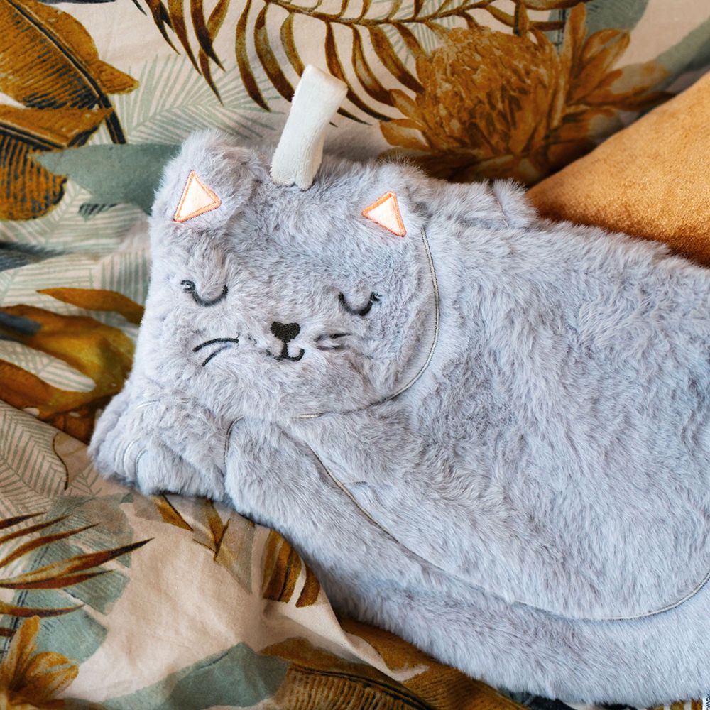 Bouillotte chat