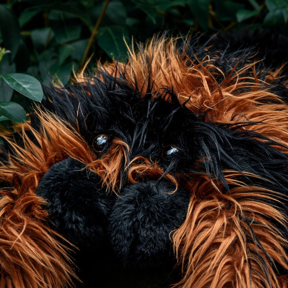 Peluche Tarentule géante
