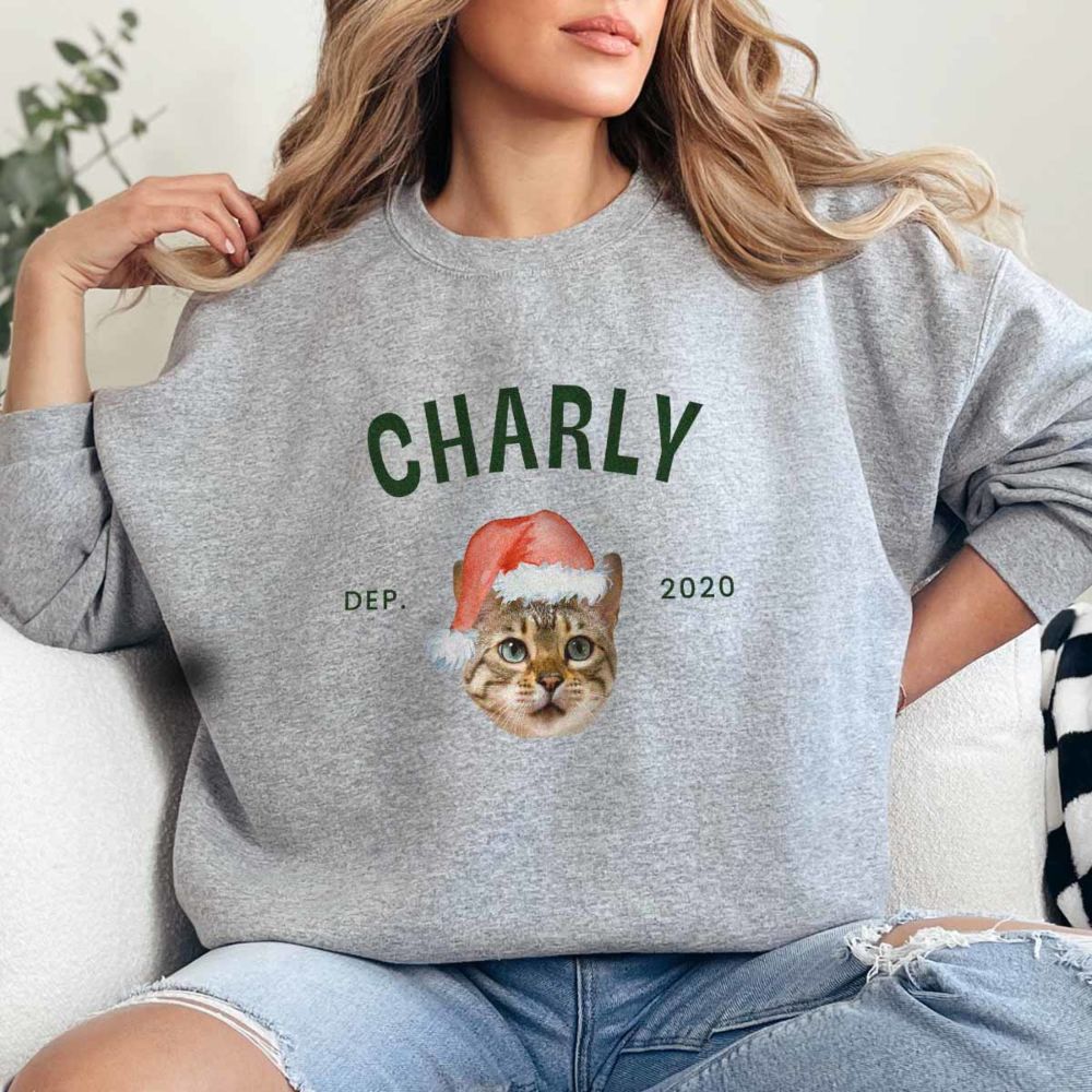 Pull personnalisé avec animal de compagnie et bonnet de Noël