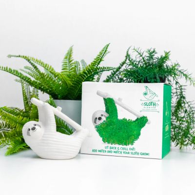 Le Paresseux vert Le Paresseux vert