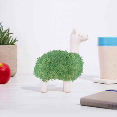 Le Lama Vert cadeaux pour femmes le lama vert