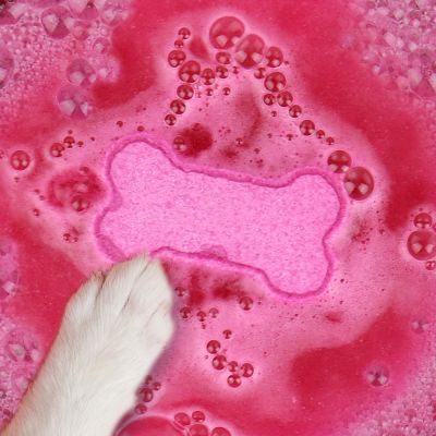 Bombe de bain pour chiens