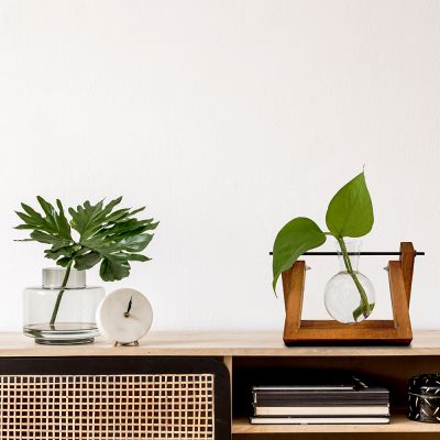 Vase Hydro Vase Hydro