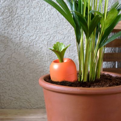 Arroseur Care It pour pots de fleurs Arroseur Care It pour pots de fleurs