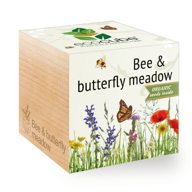 Prairie fleurie pour abeilles et papillons - Ecocube plantes dans cubes en bois