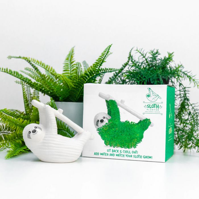 Le Paresseux vert main product photo