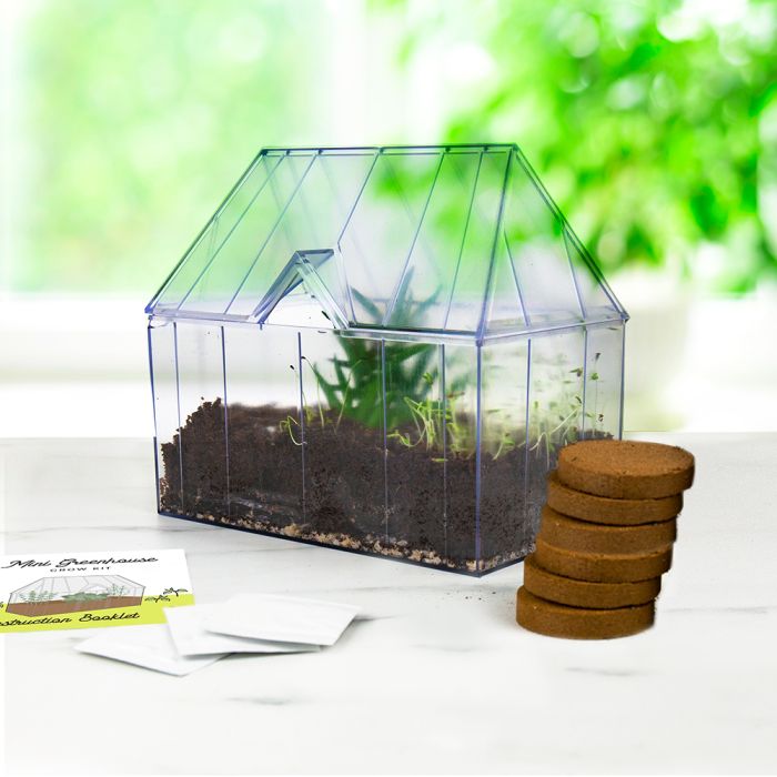 Mini-serre avec kit de plantation main product photo