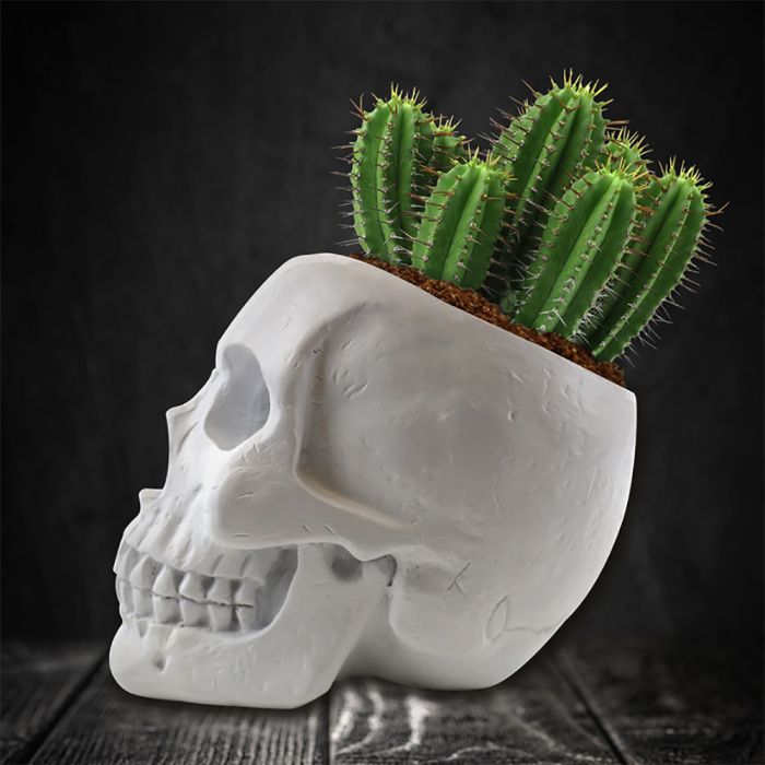 Kit de plantation tête-de-mort main product photo
