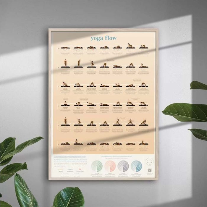 Poster Positions de Yoga main product photo