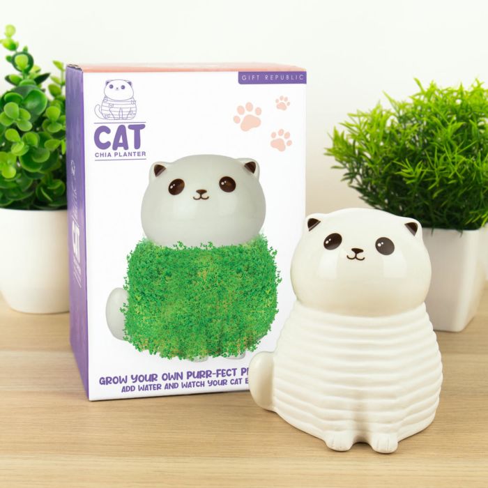 Le petit chat vert