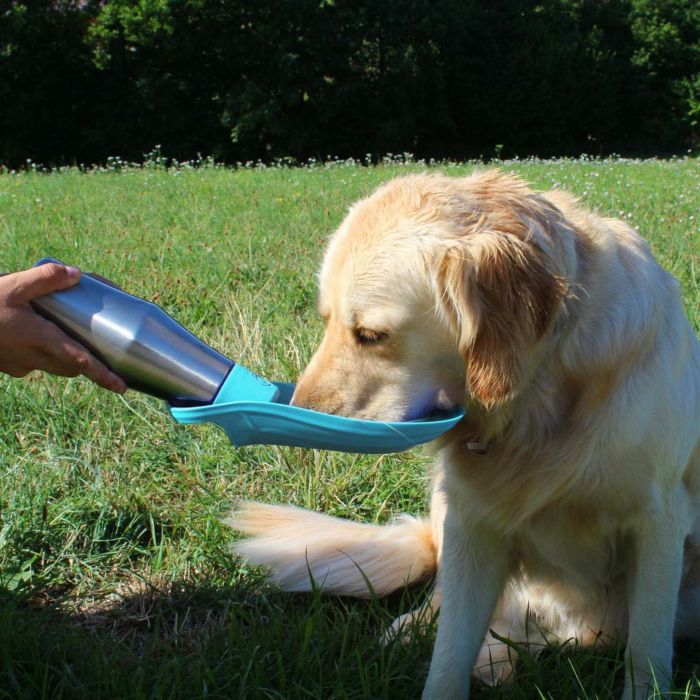 Gourde pour animal de compagnie