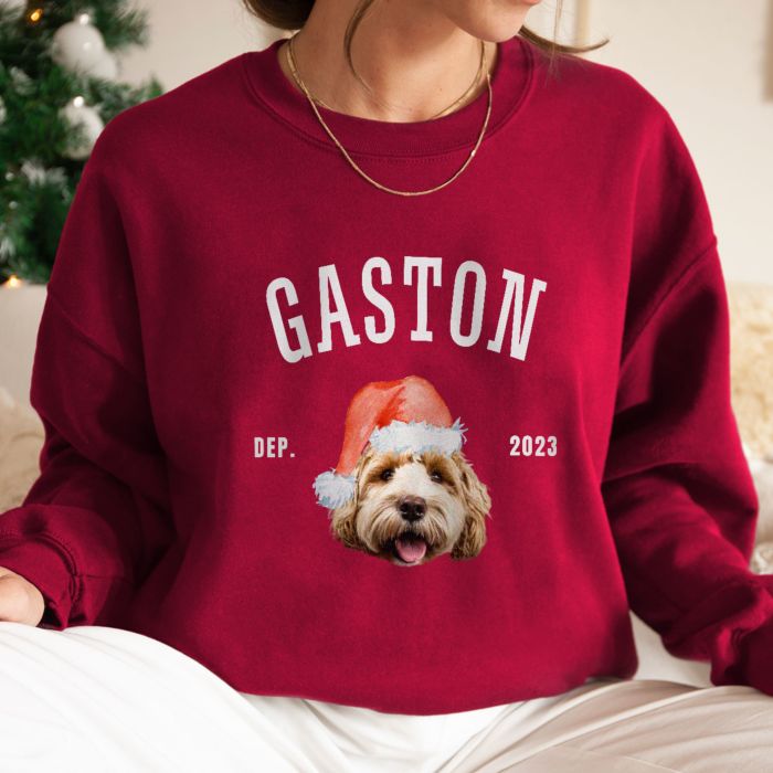 Pull personnalisé avec animal de compagnie et bonnet de Noël