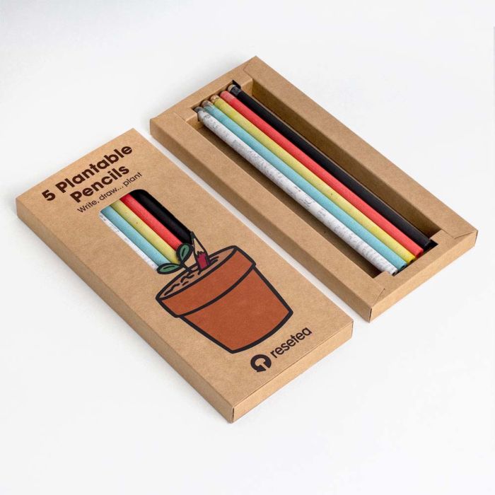 Crayons à planter - Lot de 5