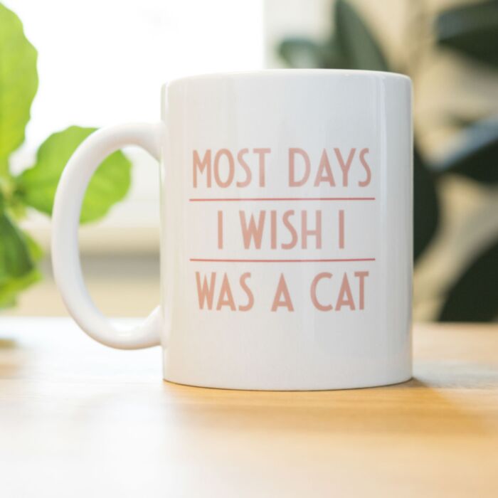 Tasse Most Days I Wish…