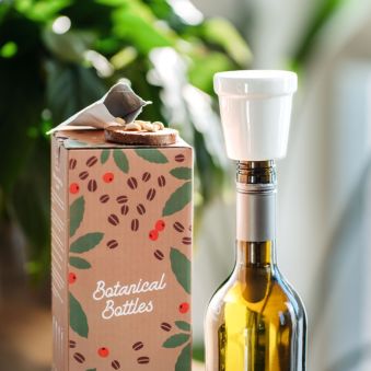 Kit de plantation de caféier en bouteille