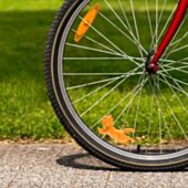 Petit chat pour vélo