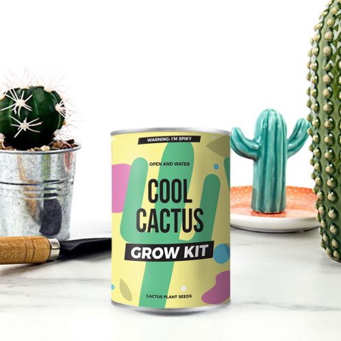 Cactus en Boite