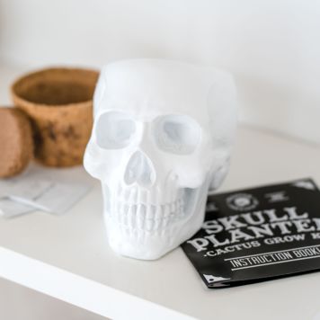 Kit de plantation tête-de-mort