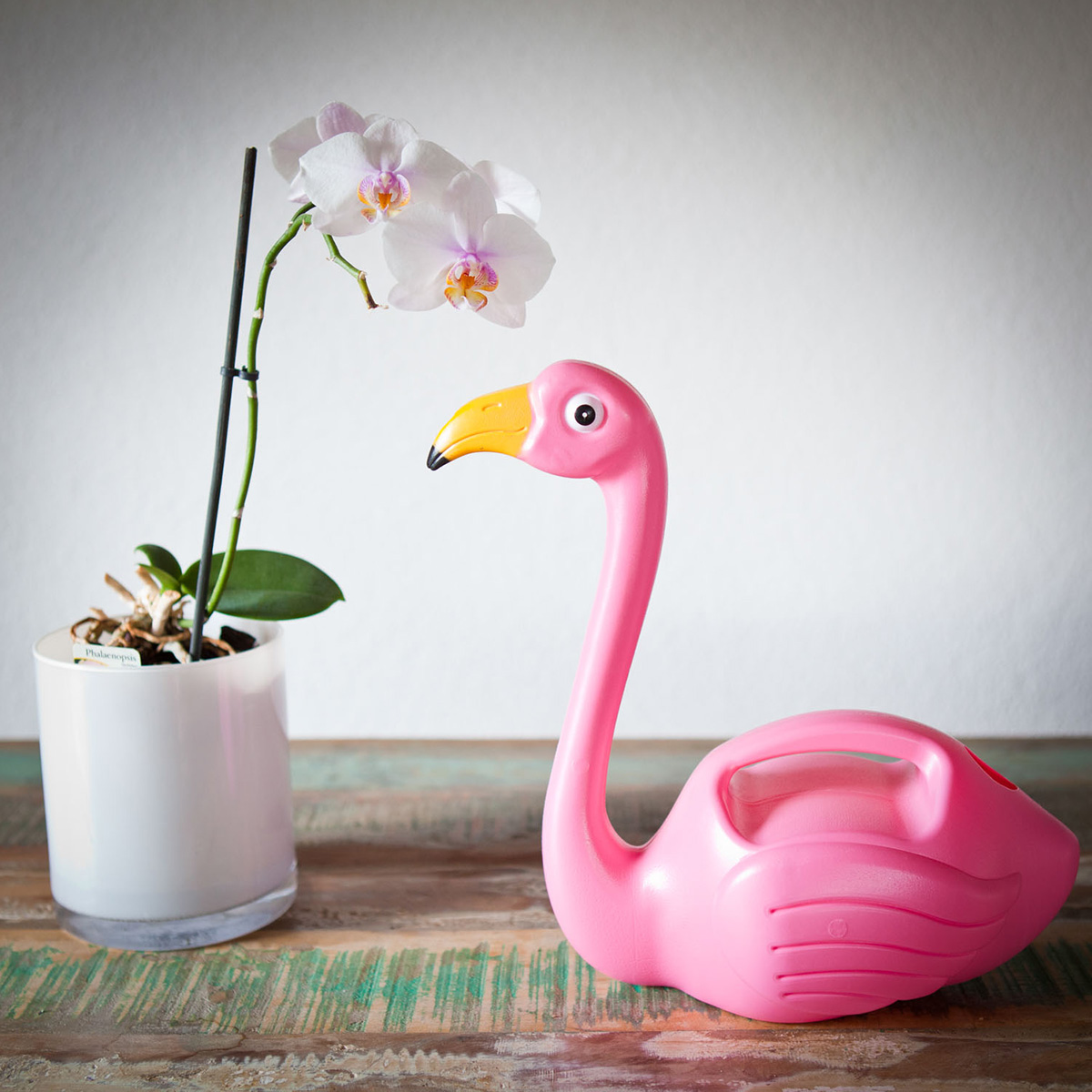 Arrosoir Flamant Rose