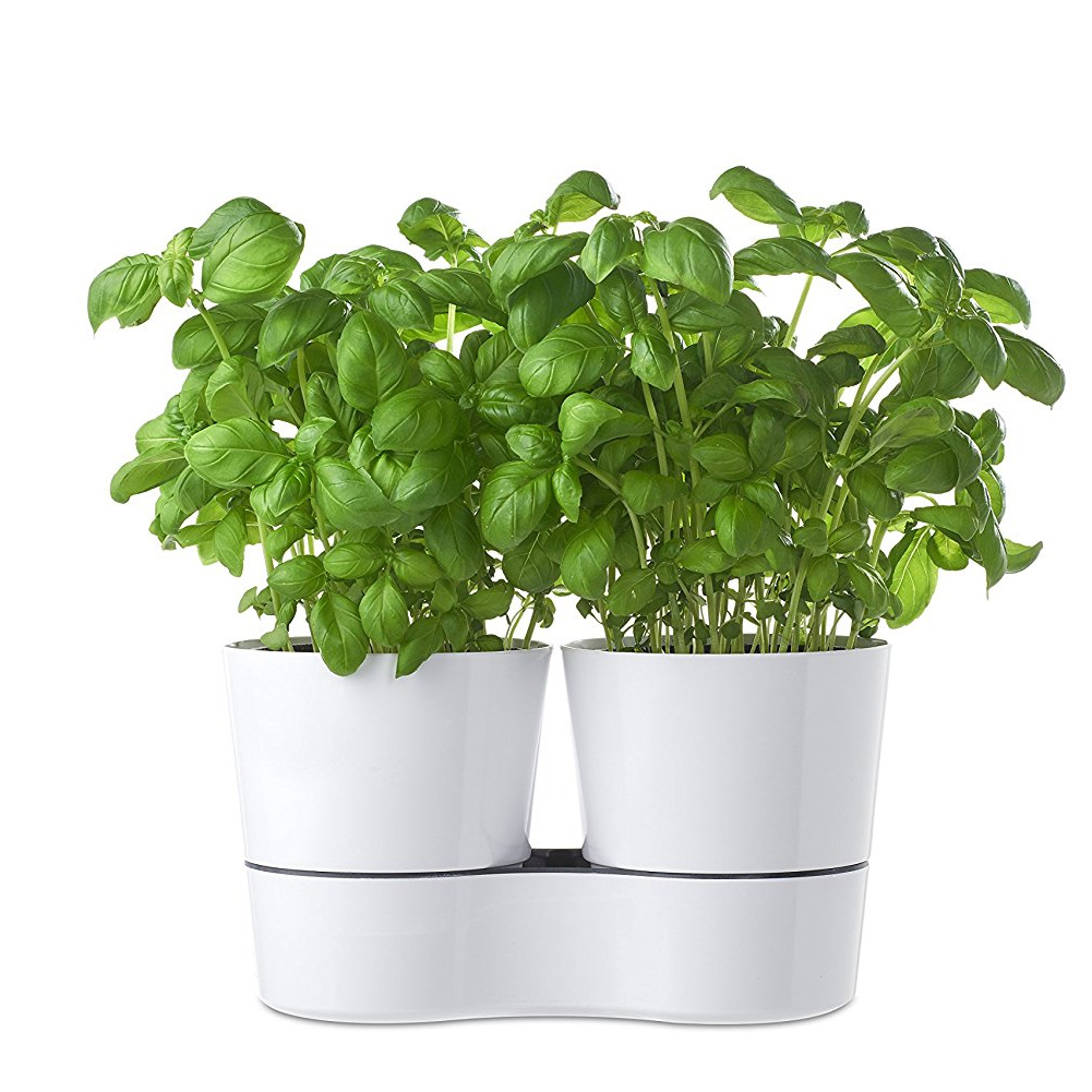 Pots de fleurs Herb Hydro