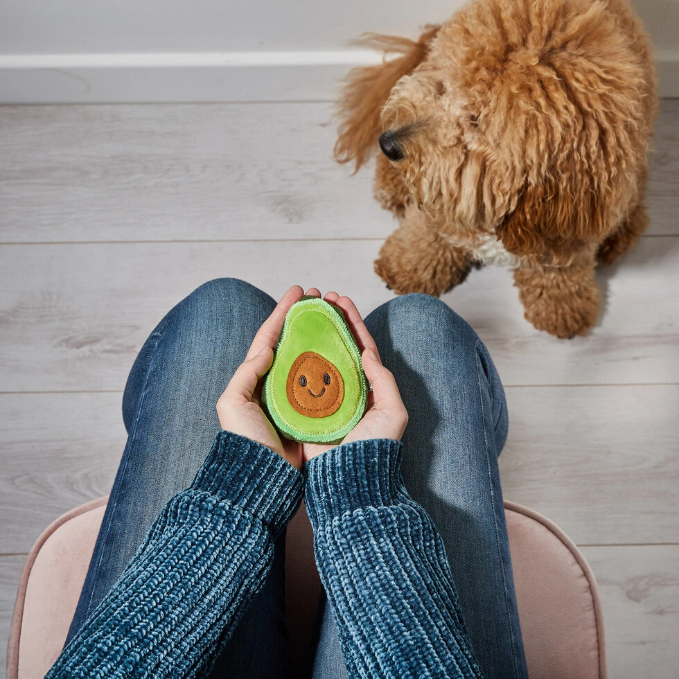 Mini bouillotte Avocat
