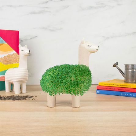 Le Lama Vert