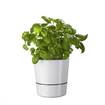 Pots de fleurs Herb Hydro