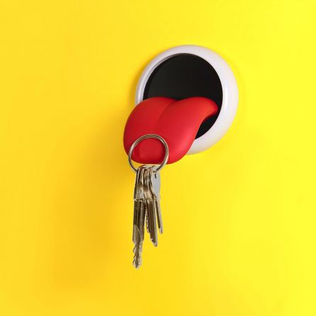 Porte-clés langue aimantée