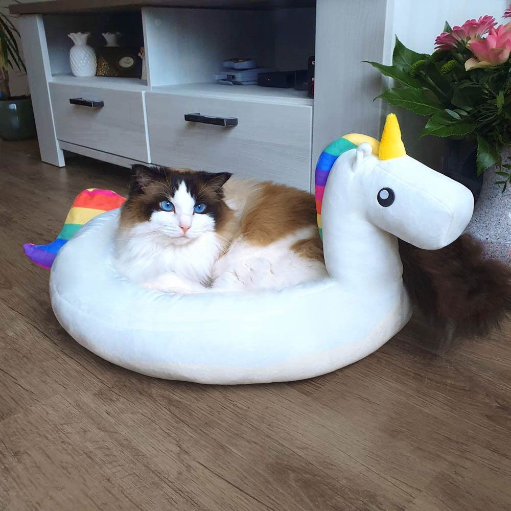 Kkkfffn Fontaine Deau Pour Animaux De Compagnie